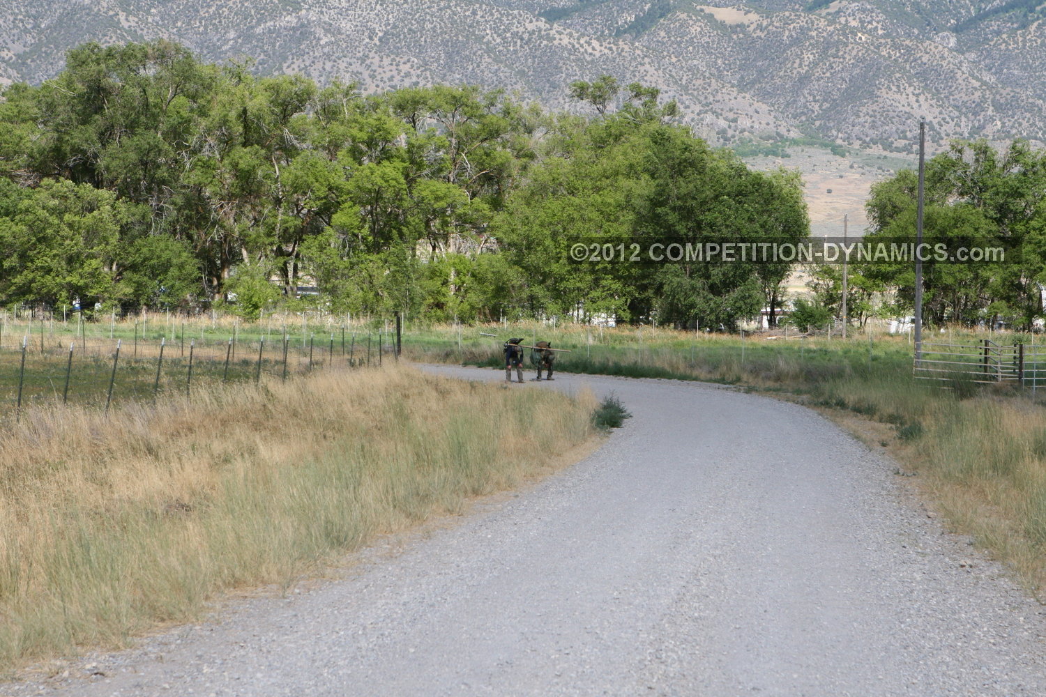 2012 Competition Dynamics 24-Hour Sniper Adventure Challenge
, photo 