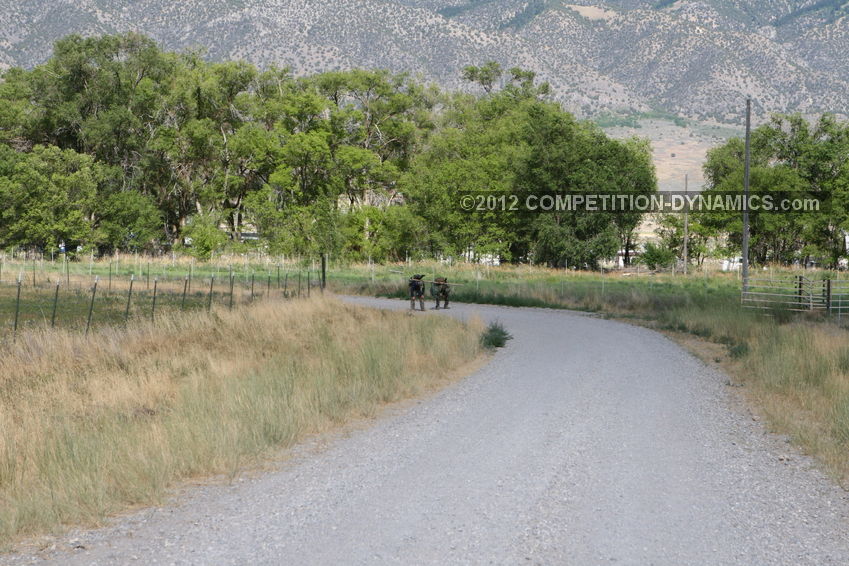 2012 Competition Dynamics 24-Hour Sniper Adventure Challenge
, photo 