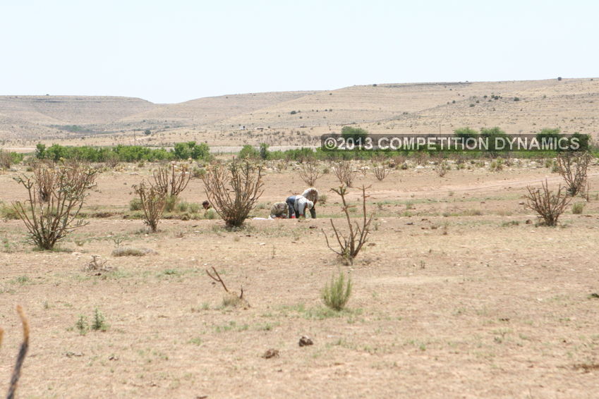 2013 24-Hour Sniper Adventure Challenge
, photo 